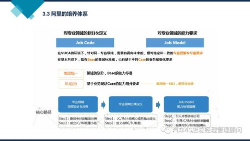 阿里巴巴组织能力建设与非融资担保服务的融合