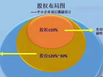 公司控制权与股权激励 深圳企业管理中的创新实践及非融资担保服务的协同应用